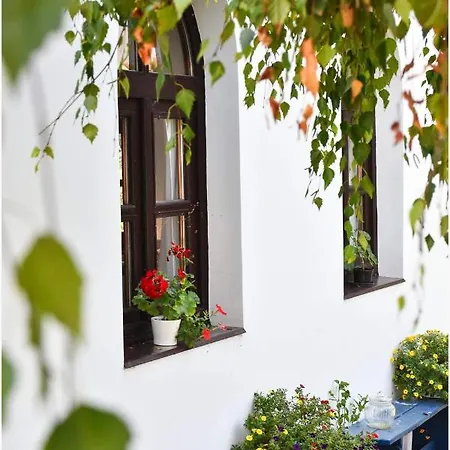 Tisza Bed & Breakfast