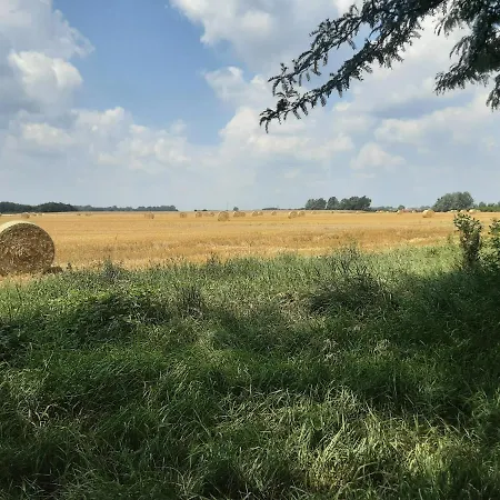 Tisza