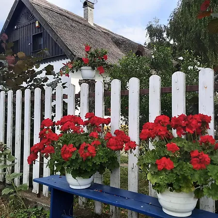 Bed & Breakfast Tisza 3*