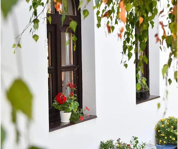 Tisza Bed & Breakfast