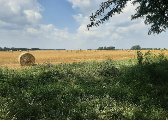 Tisza