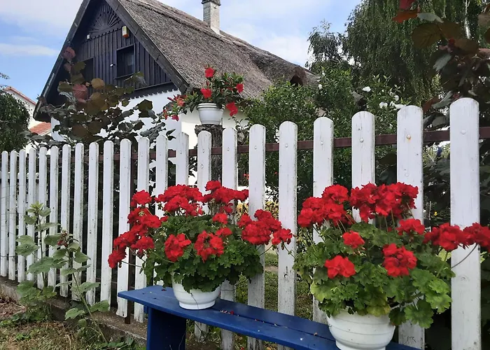 Bed & Breakfast Tisza 3*