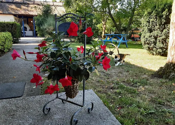 Tisza 3* Tiszabábolna